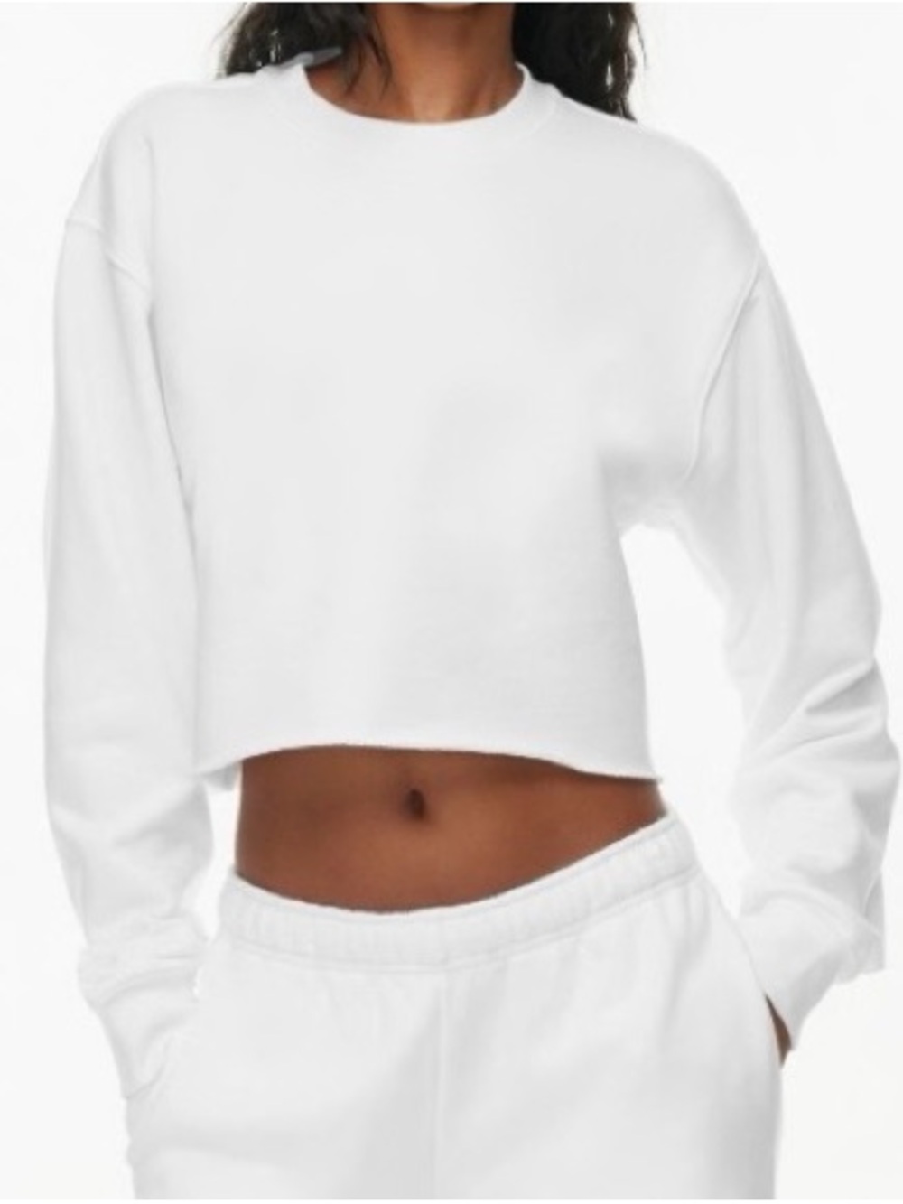 Aritzia TNA CozyFleece Cropped Sweater